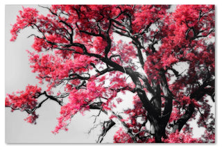 'Glowing Tones' Canvas Art by Philippe Sainte-Laudy