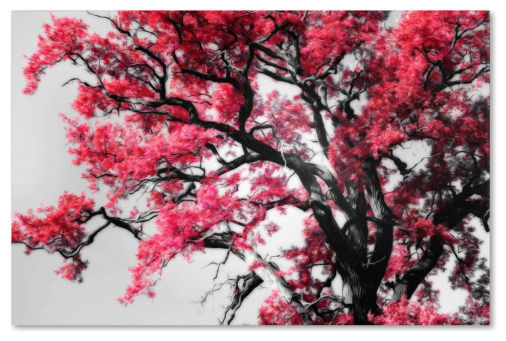 'Glowing Tones' Canvas Art by Philippe Sainte-Laudy
