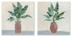 Green Palm Frond Plants Brown Jars Still Life,12 x 12