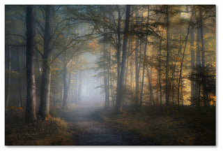 Norbert Maier 'Autumn Symphony' Canvas Art, 24x16