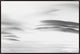 54x36 Lenticular Clouds XIV, Framed Artwork, Espresso