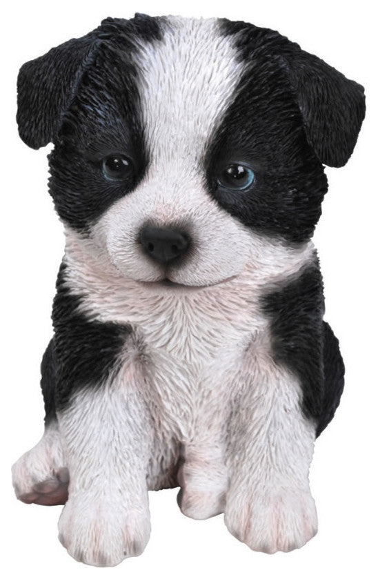 Realistic Border Collie Puppy Garden Statue