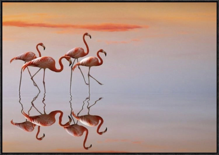 "Untitled" Framed Canvas Giclee by Anna Cseresnjes, 37x26"