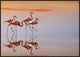 "Untitled" Framed Canvas Giclee by Anna Cseresnjes, 37x26"
