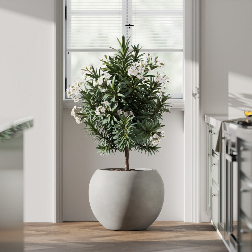 DTY Signature Mount Sherman 1-piece Fiberstone Planter, Gray, Large