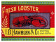 "Fresh Lobster" Digital Paper Print by Retrolabel, 46"x35"