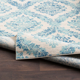Harput Transitional Dark Blue, White Area Rug, 2'x3'