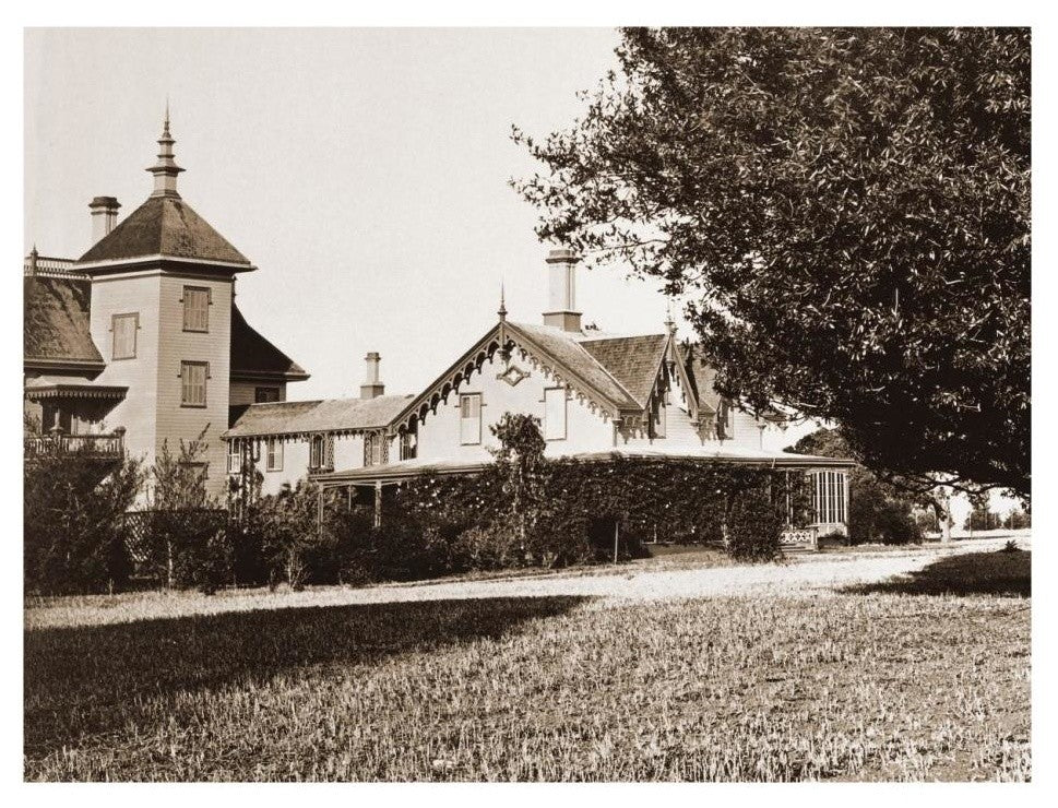 "Residence of Mr. Howard, San Mateo, Olive Tree, 1863-1880" Paper Art, 26"x20"