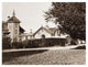 "Residence of Mr. Howard, San Mateo, Olive Tree, 1863-1880" Paper Art, 26"x20"