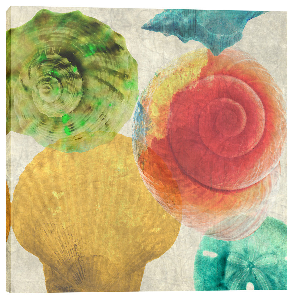 "Luminous Seashells 4" Giclee Canvas Wall Art, 37"x37"