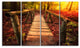 Beautiful Footbridge in Golden Light, Bridge Canvas Art Print, 48"x28", 4 Panels