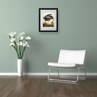 'Great Blue Heron' Matted Framed Canvas Art by John James Audubon