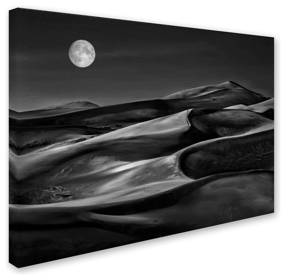 Yvette Depaepe 'The Night Walked Down The Sky ' Canvas Art, 24x18