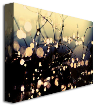 'When Fairies Dance' Canvas Art by Beata Czyzowska Young
