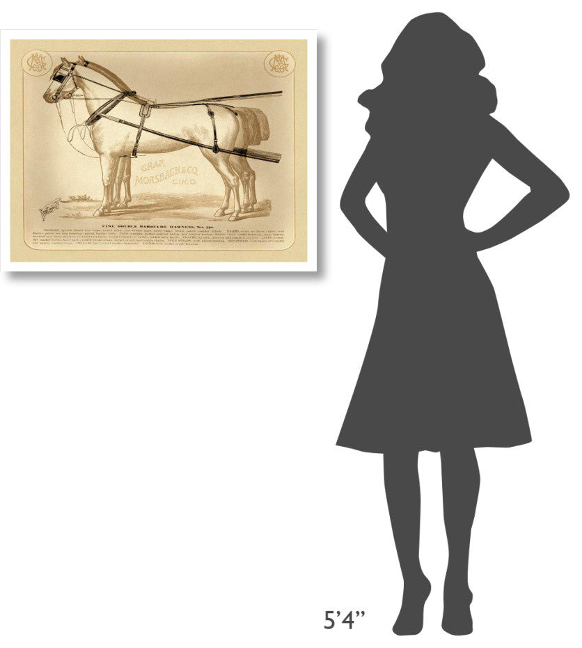 "Saddles and Tack: Fine Double Barouche Harness" Paper Print, 34"x26"