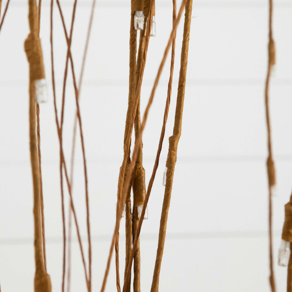  White background, close-up of trunk/branch area with no text.