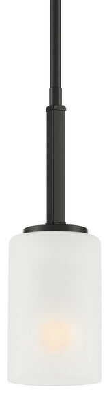 Designers Fountain D239M-4P Carmine 2"W Mini Pendant - Matte Black