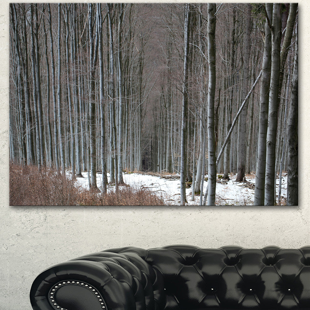 Winter Forest with Thick Trees, Forest Canvas Art Print, 40"x30"