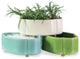 Carol Oval Celadon Planter