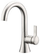 Luxier BSH11-S Single-Handle Bathroom Faucet with Drain