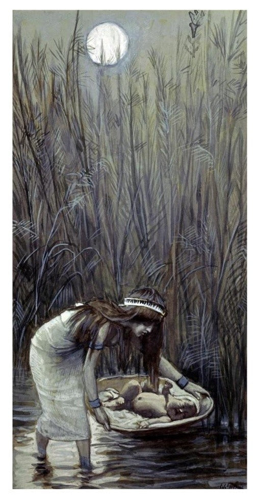 "Moses Laid Amid the Flags" Digital Paper Print by James Tissot, 17"x32"