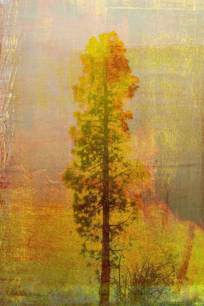 "Griffith Park" Painting Print on Canvas by Aryai
