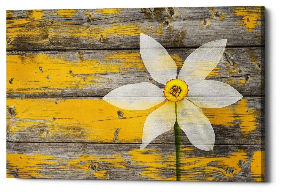 Epic Graffiti "Wood Series: A Rustic Paradise" Giclee Canvas Wall Art, 26"x40"