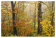 "Mixed deciduous forest in autumn, Mill Brook, Vermont" Paper Art, 38"x26"