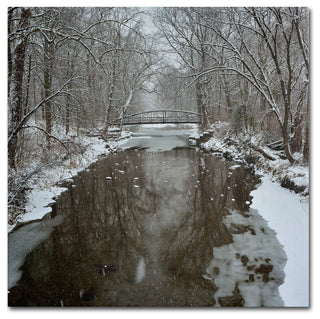 'Winter Bridge' Canvas Art by Kurt Shaffer