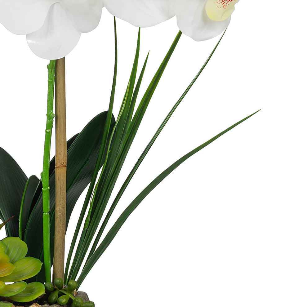 Artificial Phalaenopsis Orchids With Succulents Floral Arrangement, Pot