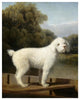 "White Poodle in a Punt, c. 1780" Digital Paper Print by George Stubbs, 24"x30"