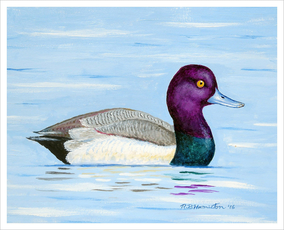 Betsy Drake Lesser Scaup Outdoor Wall Hanging 24x30