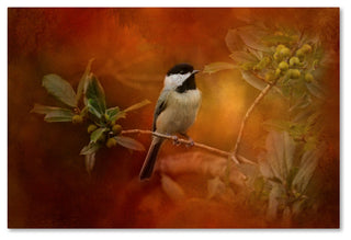 Jai Johnson 'Autumn Day Chickadee' Canvas Art, 47 x 30