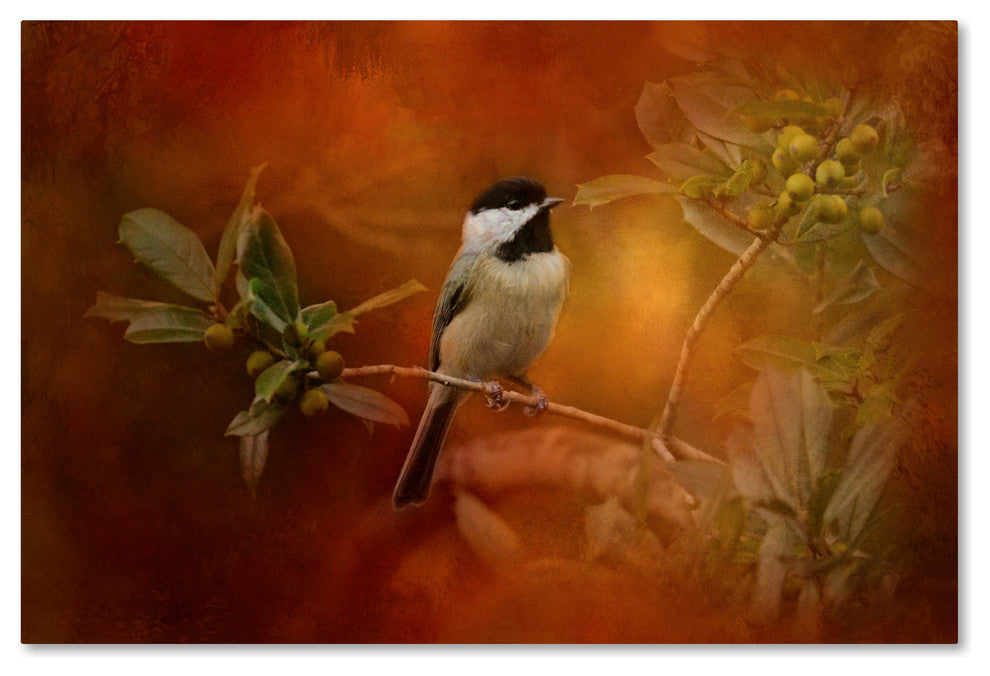 Jai Johnson 'Autumn Day Chickadee' Canvas Art, 47 x 30