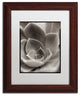 Alan Blaustein ''Florison 25'' Art, Wood Frame, White Mat, 11x14