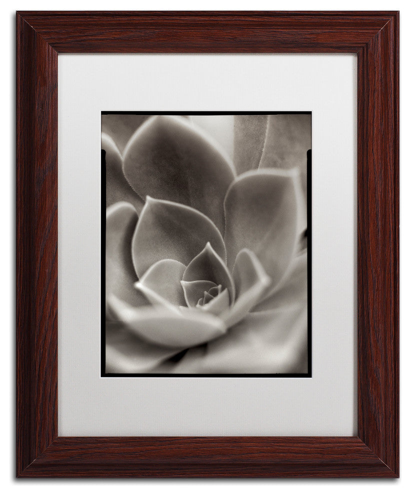Alan Blaustein ''Florison 25'' Art, Wood Frame, White Mat, 11x14