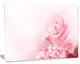 Beautiful Rose In Magic Light, Portrait Canvas Art Print, 60"x28"