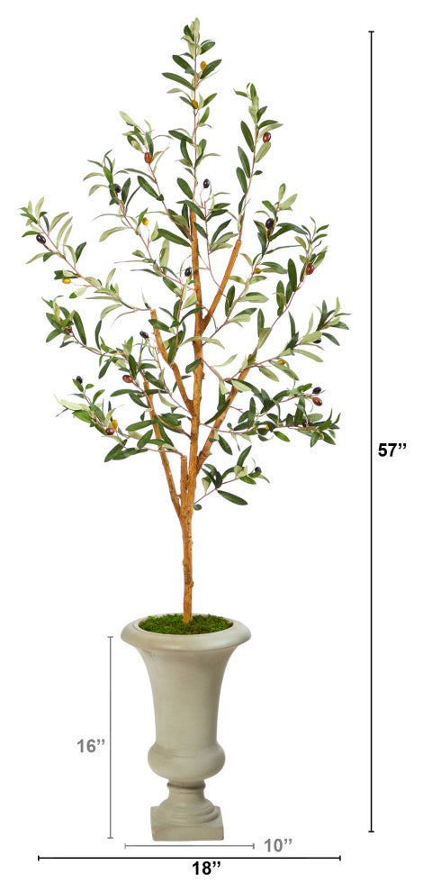 57" Olive Artificial Tree, Sand Colored Urn