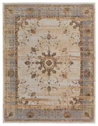 Neoma Traditional Bordered, Tan/Brown/Gray, 7'9"x10' Area Rug