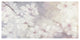 "Cherry Blossoms" Digital Paper Print by Julia Purinton, 26"x14"
