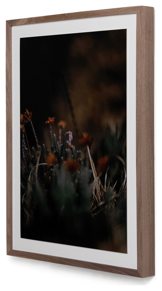 First Bloom By Annie Spratt