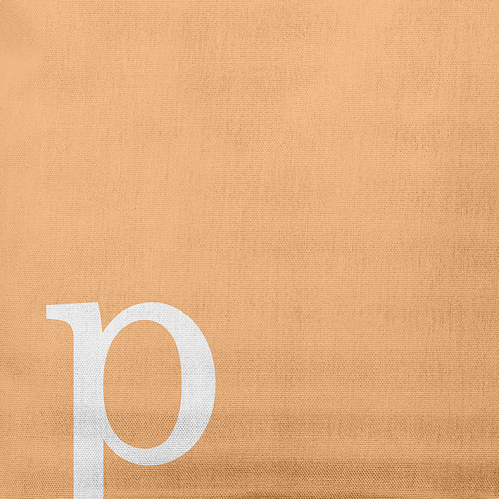 20"x20" Modern Monogram Decorative Throw Pillow, Pale Gold
