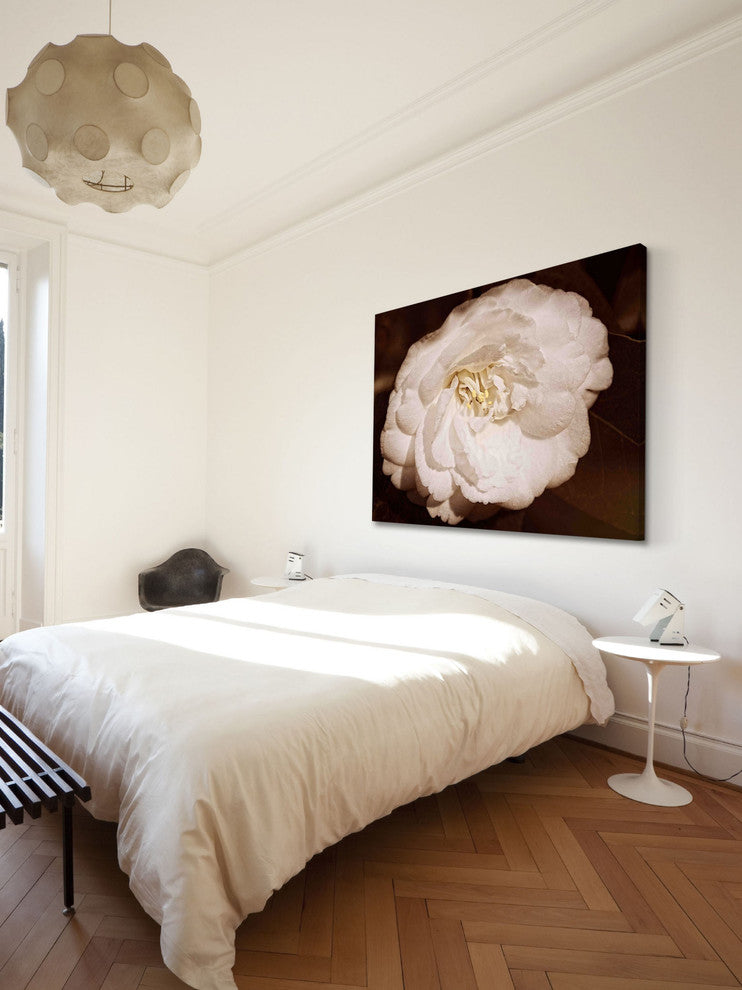 "White and Willing in Sepia" Painting Print on Canvas by Robertson