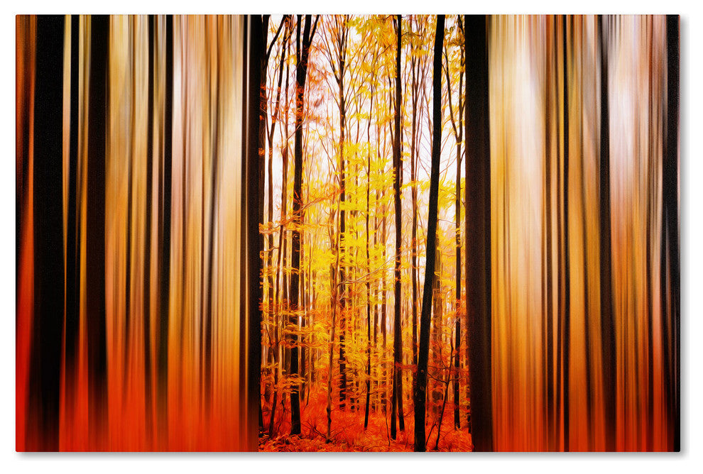 'Excited Oxygen' Canvas Art by Philippe Sainte-Laudy