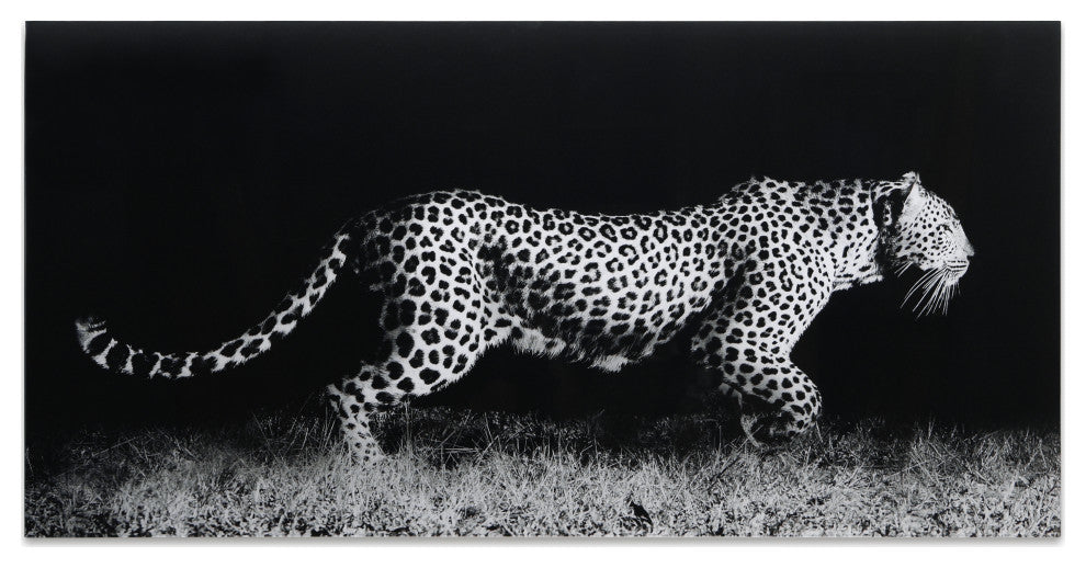 Fearless 1 Frameless Free Floating Tempered Art Glass Wall Art, 24"x 48"