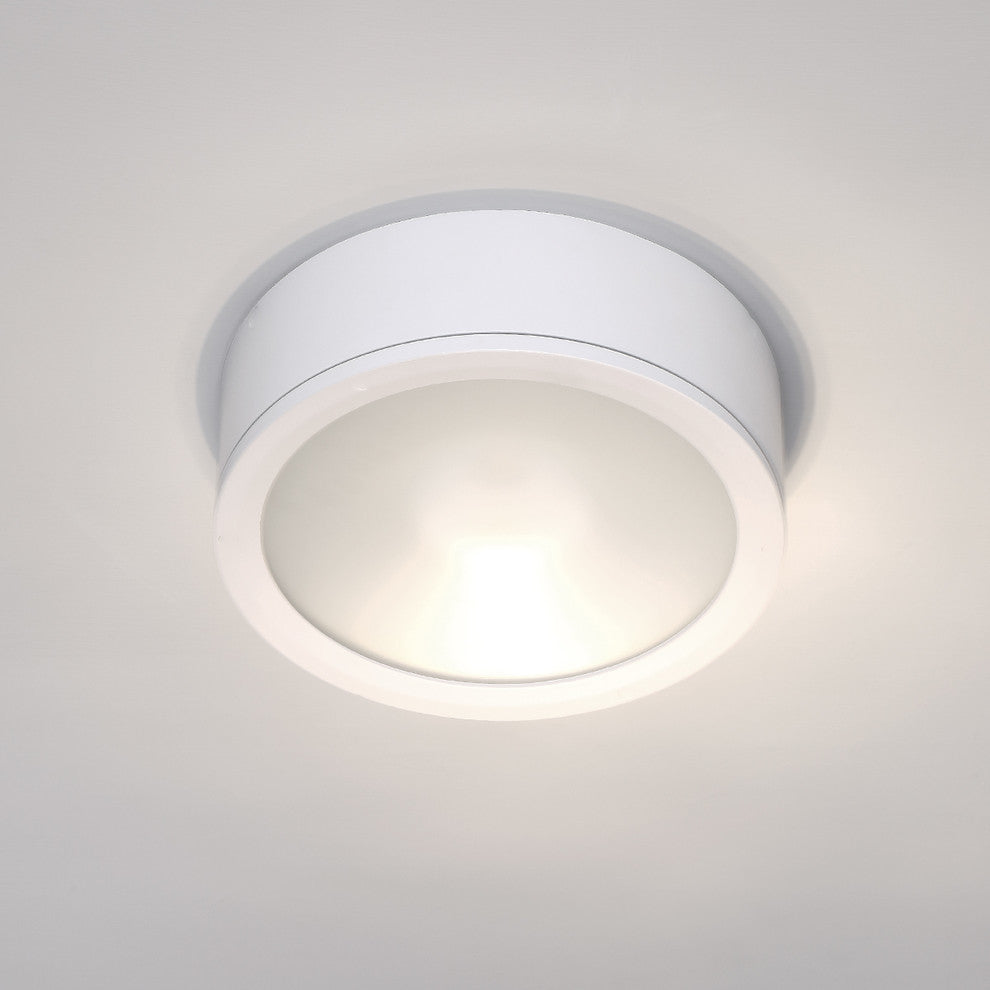 WAC Lighting Tube 12" Indoor or Outdoor LED Flush Mount, White