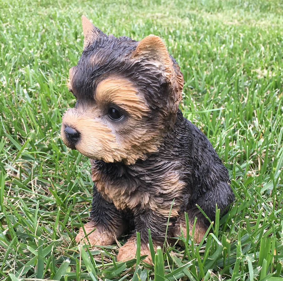 Realistic Yorkshire Terrier Puppy Garden Statue
