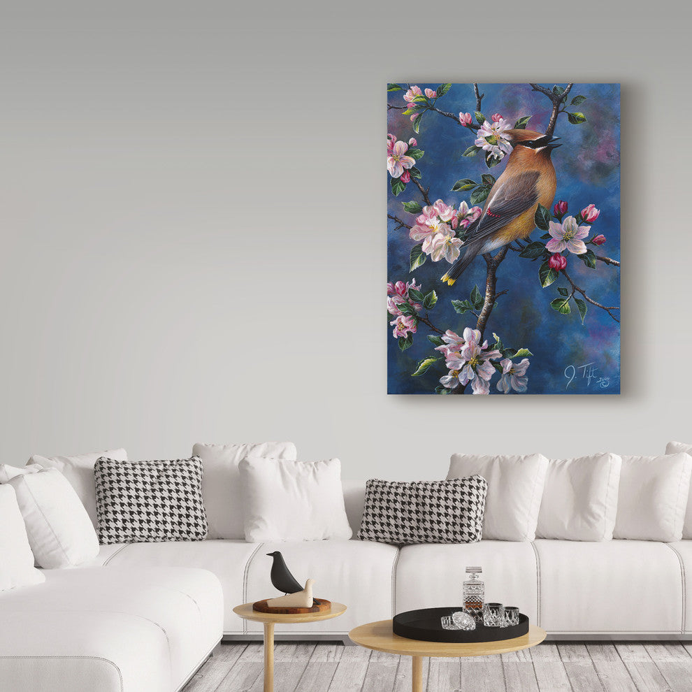 Jeff Tift 'Cedar Waxwing' Canvas Art, 32"x24"