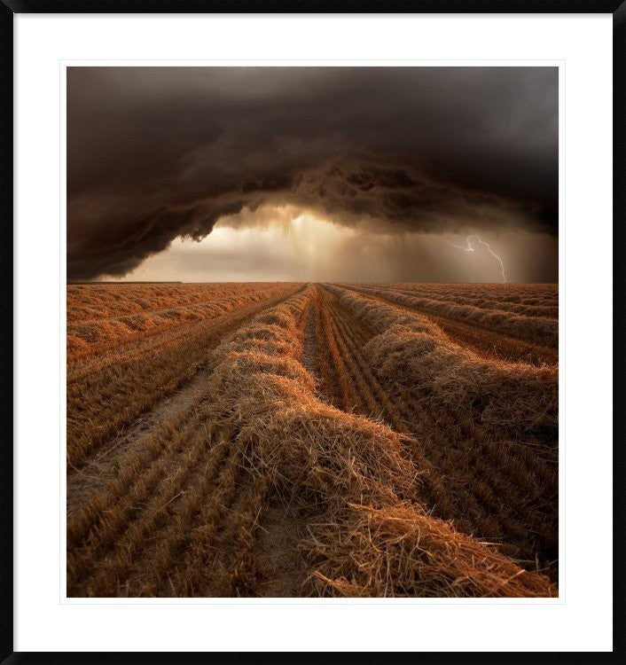 "Untitled" Framed Digital Print by Franz Schumacher, 35x38"