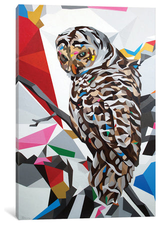"Owl22" by DAAS, Canvas Print, 26"x18"